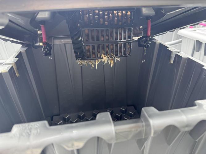 Alien Aeroponics with Robinhood Seeds. Week 4