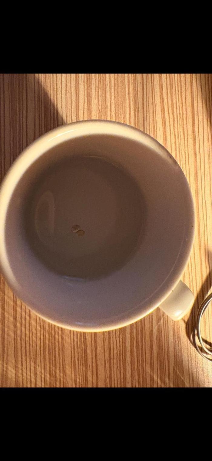 My first grow 2x Northern Lights. Week 0