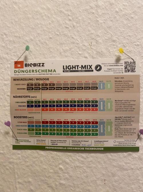 CCG x Green House Seed Co.. Week 3
