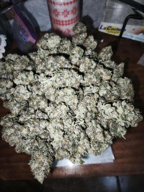 Big Z, Cream Caramel, Supersilvergary. Week 12