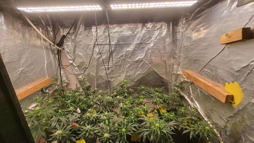 Hazeee. Week 3 - really liking the new lamp!