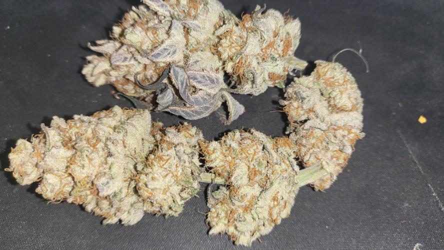 Hazeee. Week 10 - White Choco Haze
Dry