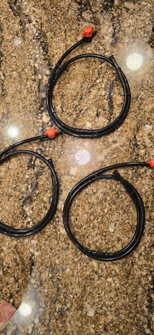 First Grow. Week 2 - My very inexpensive watering rings.  About .50 USD in materials per ring.