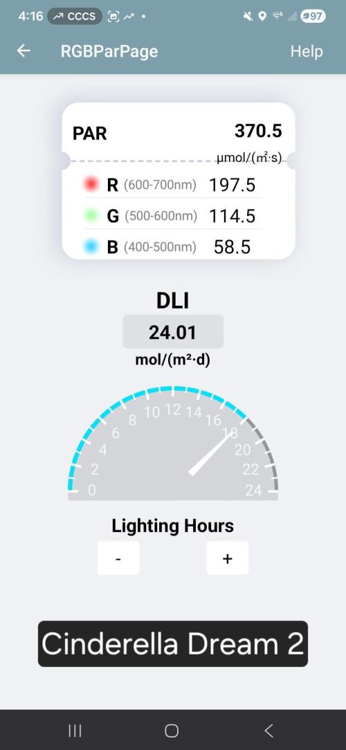 First Grow. Week 2 - DLI - Cinderella Dream 2 (Sativa)