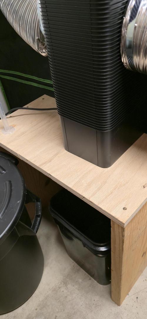 Cinderella Dream part deux. Week 2 - New dehumidifier, on raised platform with catch bucket.