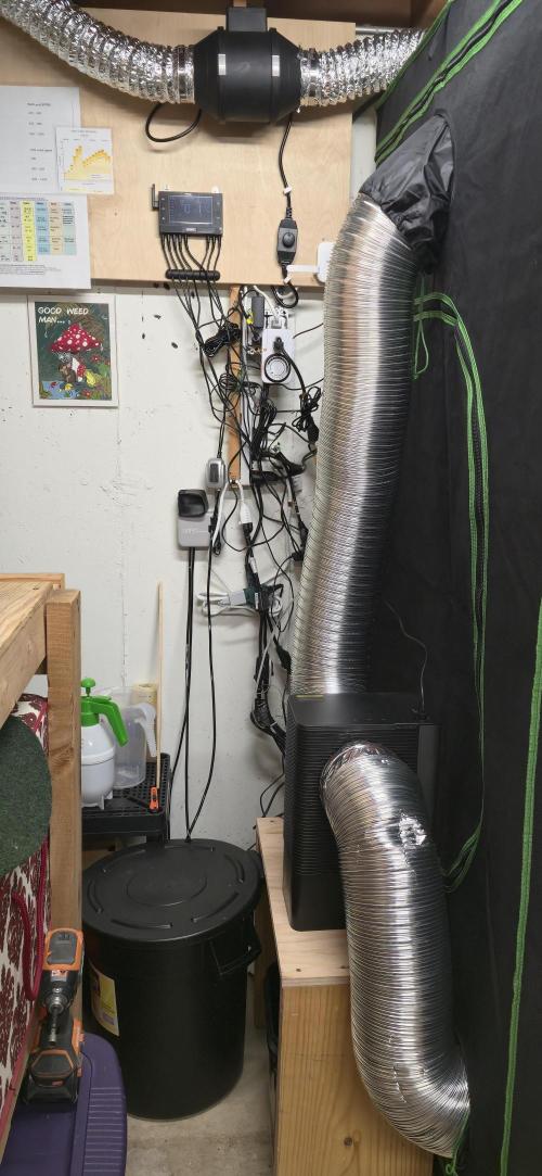 Cinderella Dream part deux. Week 2 - My rat nest, but more so you can see the dehumidifier ventilation.  Closed Loop.