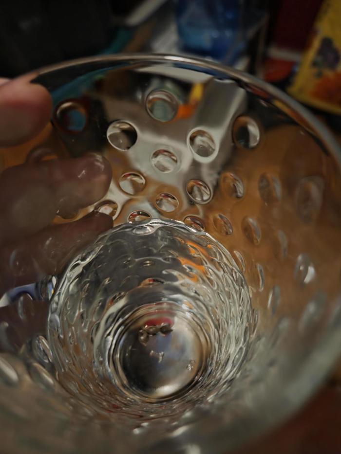 First real grow. Week 0 - Chilling in the cup