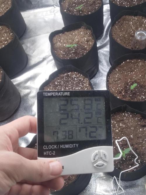 AK-47 AUTO R8. Week 0