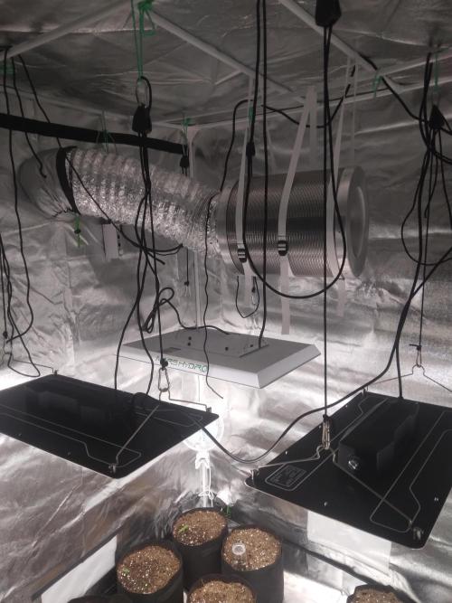 AK-47 AUTO R8. Week 0