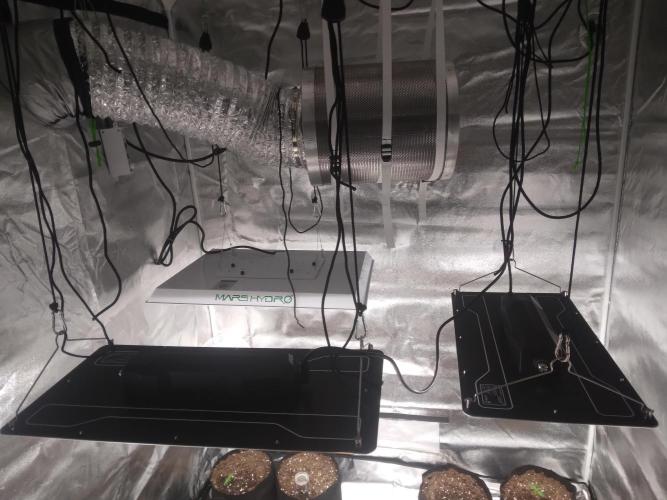 AK-47 AUTO R8. Week 0