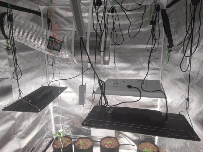 Northern Lights Auto R7. Week 0