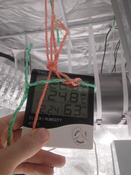 Northern Lights Auto R7. Week 0