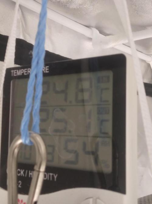 Gorilla Cookies R1-2-3. Week 0