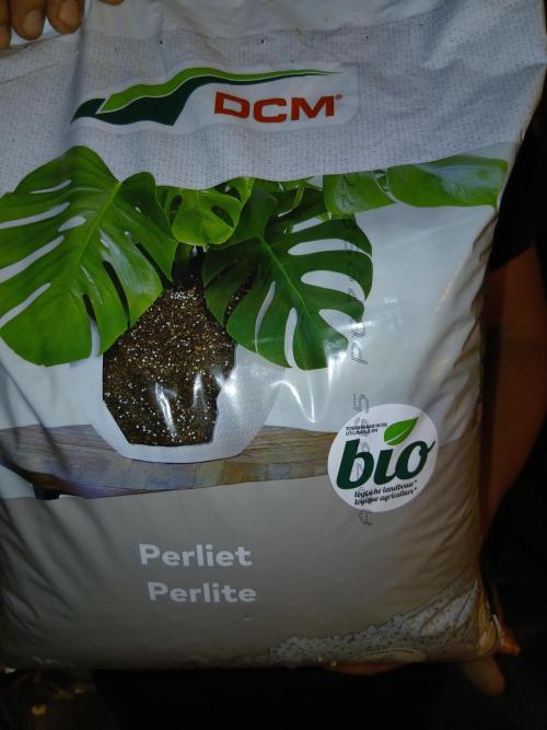 living soil organic. Week 0 - perlite