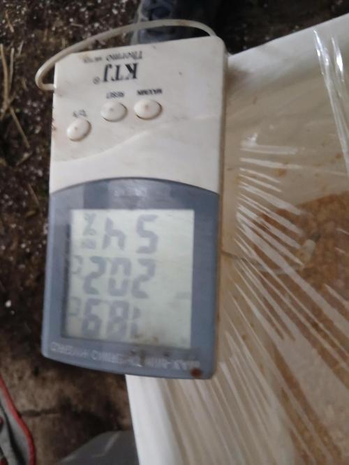 living soil organic. Week 0