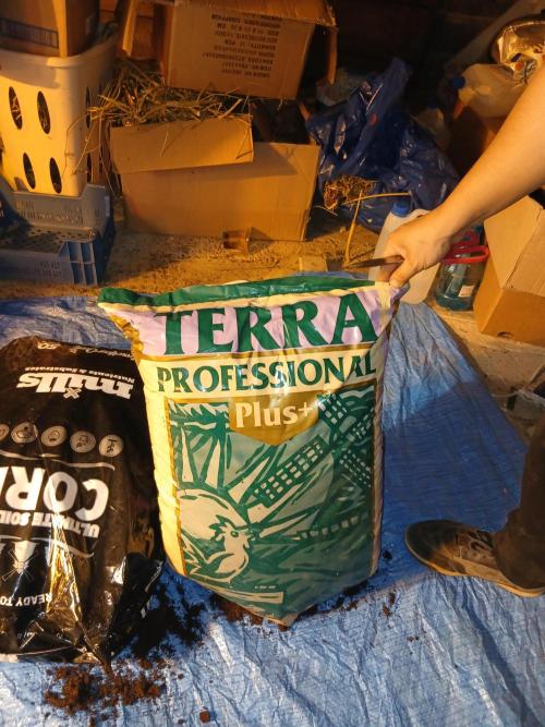 living soil organic. Week 0