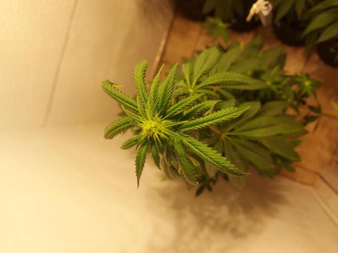 Desert & Candy. Week 7 - Space Station - before