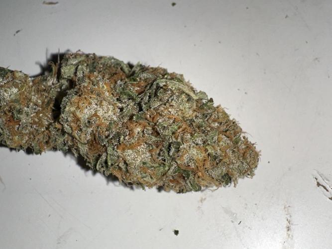 Letzter Grow 07/25. Week 10