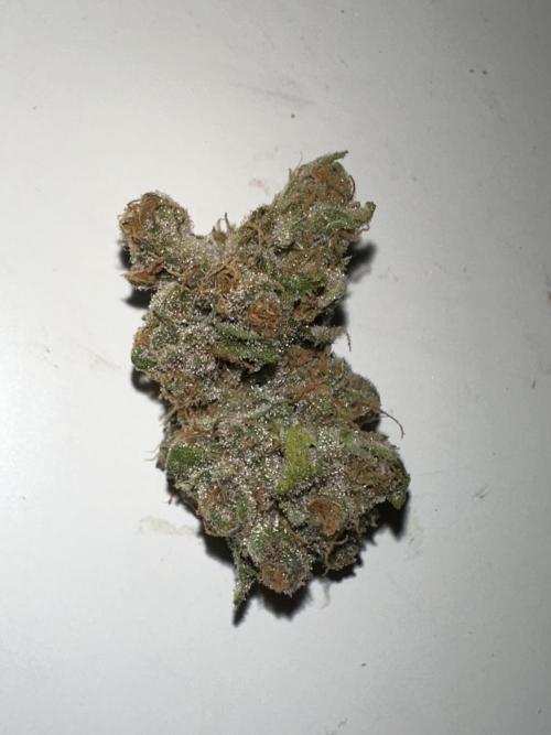 Letzter Grow 07/25. Week 10