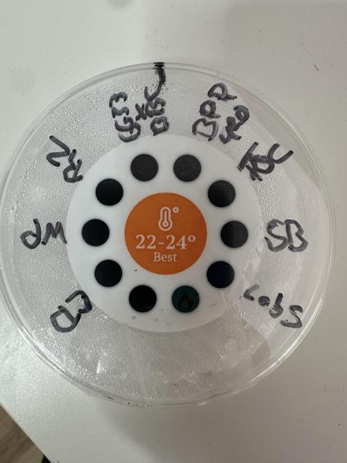 Eternity Cup 26 Zamnesia StickyBroccoli. Week 0 - Start. 10.01.2026 Samen gesetzt in Keimlingset.
Sb ist die StickyBroccoli