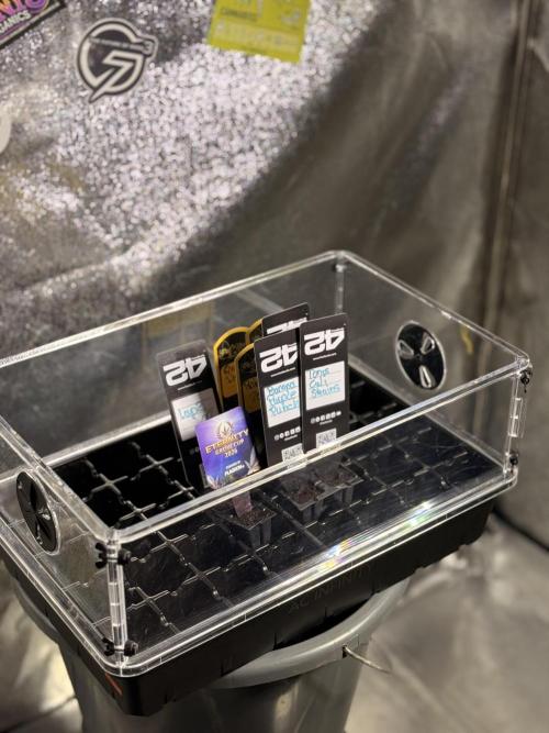 Eternity Cup 26 Zamnesia StickyBroccoli. Week 1 - Ab in den brutkasten mit den kleinen Babys