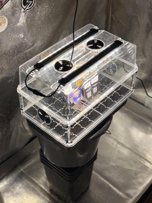 Eternity Cup 26 Zamnesia StickyBroccoli. Week 1 - Echt geiles system von Ac Infinity