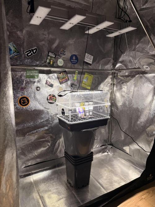 Eternity Cup 26 Zamnesia StickyBroccoli. Week 1 - Mein Kleines aber feines Setup.