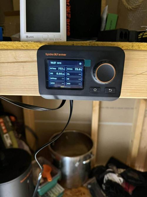 Spider Farmer 3x3. Week 1