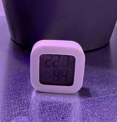 Hazelbox Ultra 2025 RQS Titan F1 Test. Week 4 - Temperatur bei ca. 23 Grad und Luftfeuchtigkeit bei knapp unter 50%