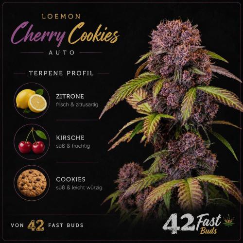 Lemon Cherry Cookies. Week 6
