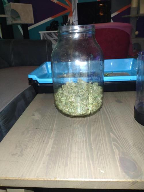 Mix grow. Week 14