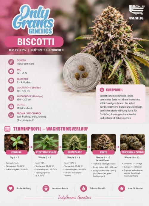 Biscotti. Week 1