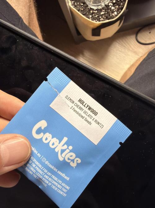 Cookies grow. Week 0 - The goodz