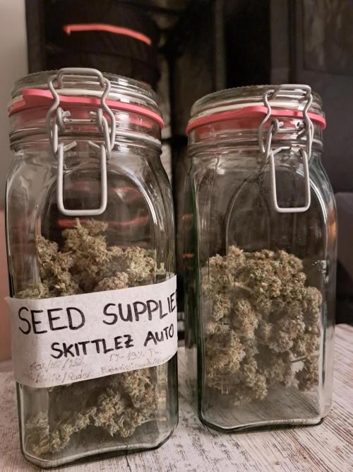 Seedsupplier Zkittles. Week 13