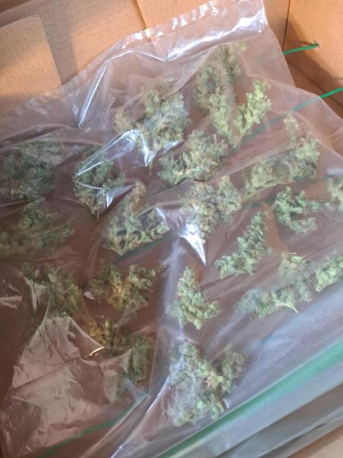 Wedding cake/nebenbei. Week 19