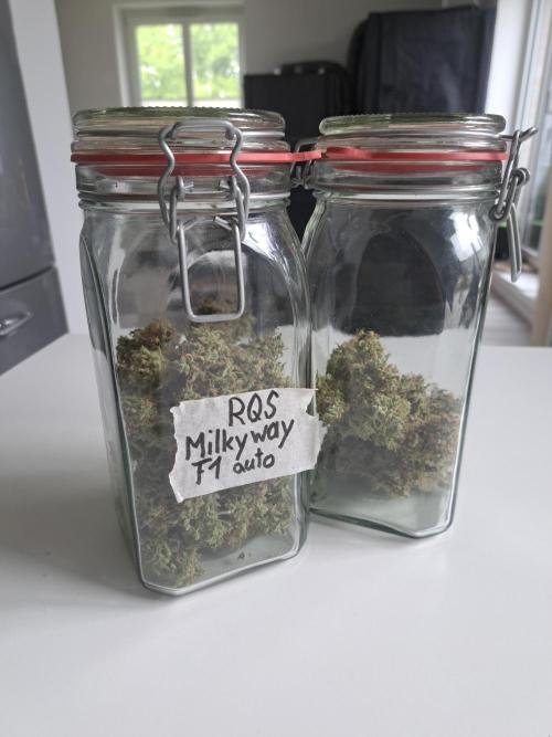 Milky way F1 auto - nebenher. Week 16