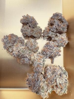 Comment by JIROU photo #1