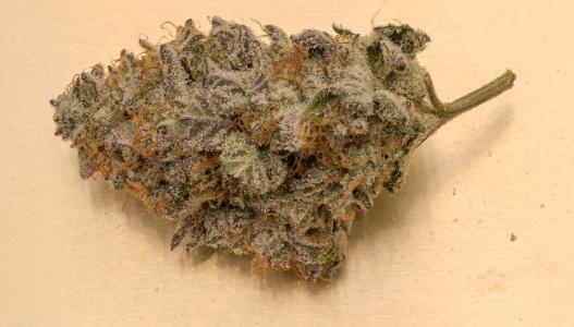 Comment by JIROU photo #1