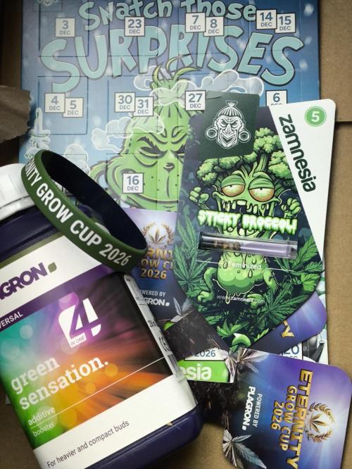 Zamnesia 2026 Plagron Eternity grow cup. Week 0