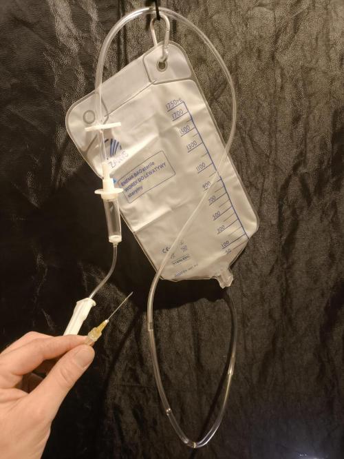 Zamnesia 2026 Plagron Eternity grow cup. Week 6 - Vyzkoušíme uvidíme 