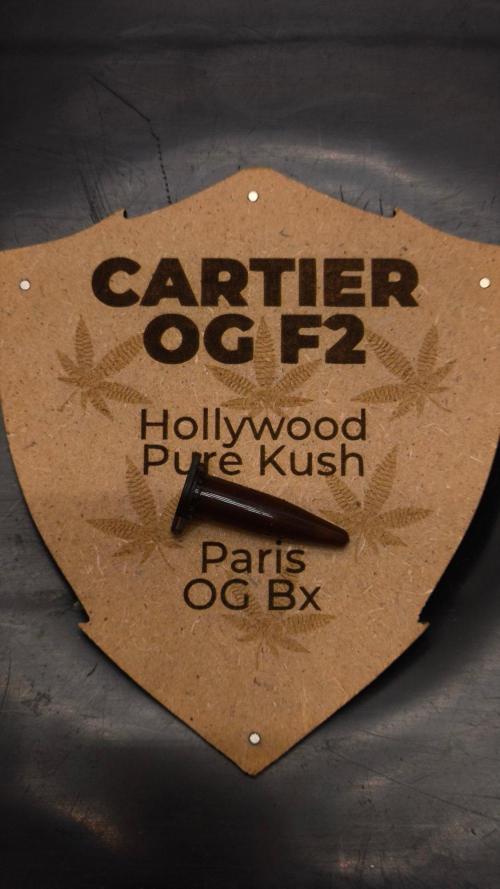 King Cartier ,round two. Week 0