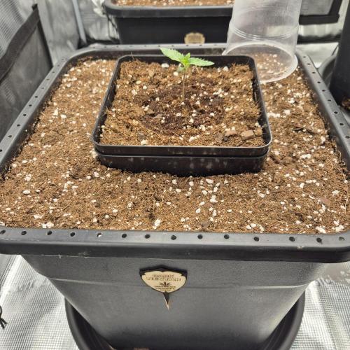 Autumn 2025. Week 1 - 1.week