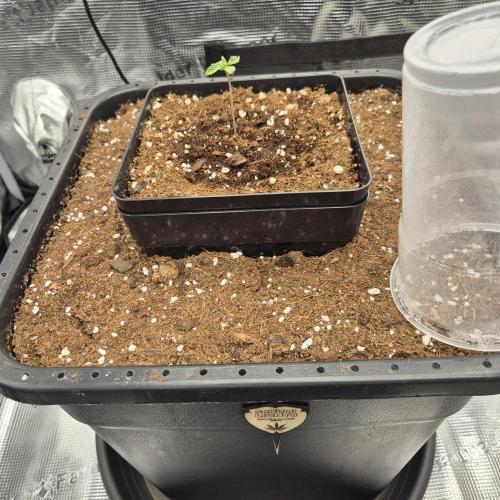 Autumn 2025. Week 1 - 1.week