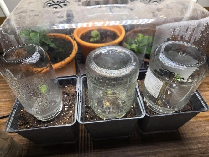 Auto Think Different. Week 0