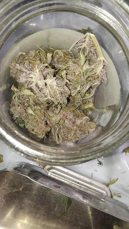 AUTOFLORECIENTES  Mineral.