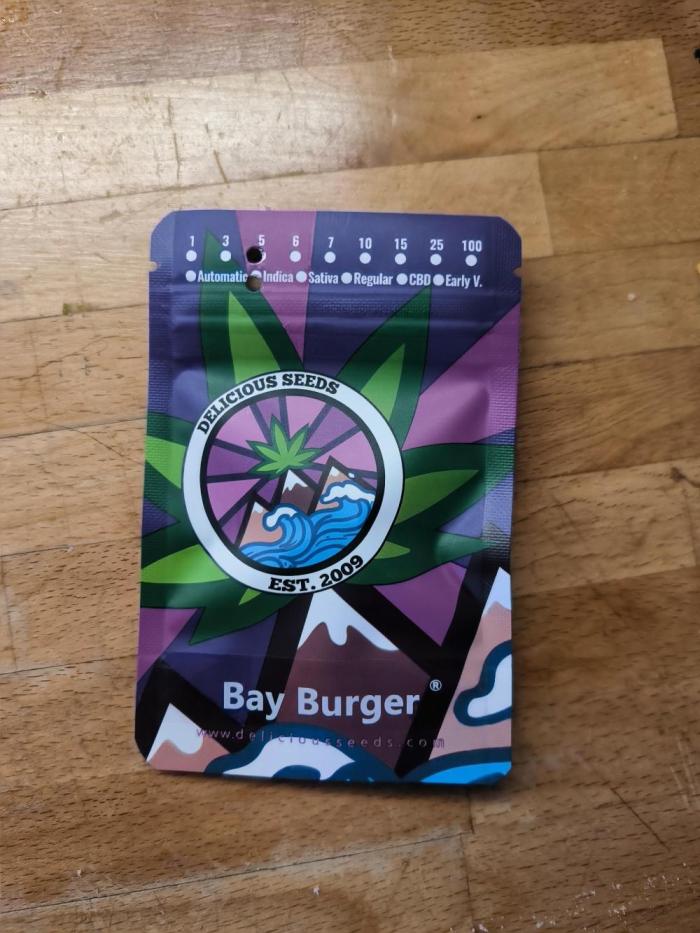 Burger. Week 0