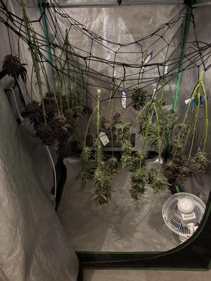 Session One Bud. Week 10