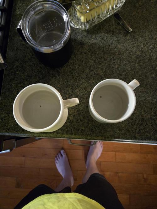 Fastbuds round 2. Week 0 - Ph 6 tap water