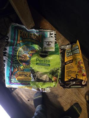 Comment by RuralRoots photo #1