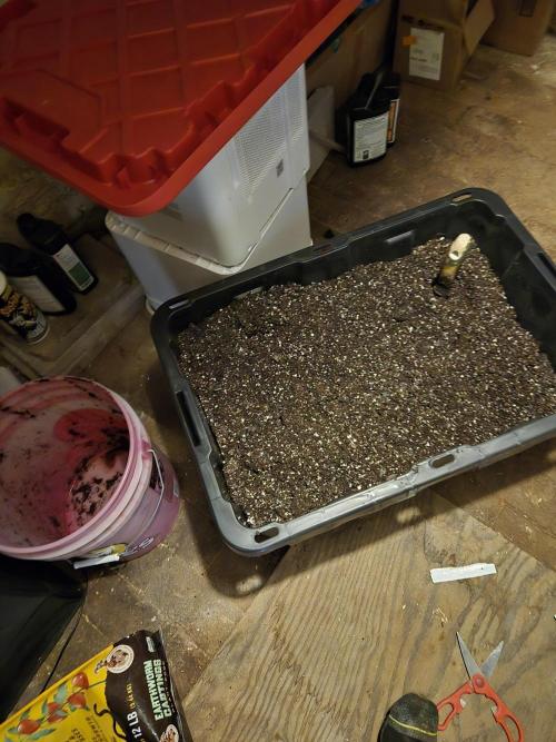 Fastbuds round 2. Week 0 - My mixed tub of dirt